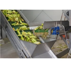 Cleated Z Frame Conveyor Belt